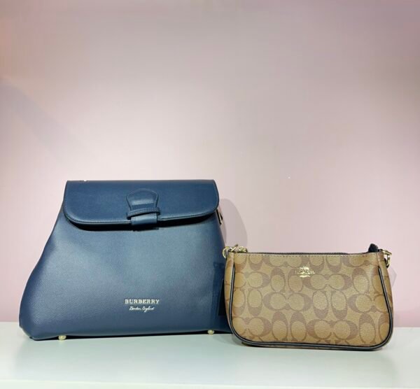 Burberry Bag + Coach Bag