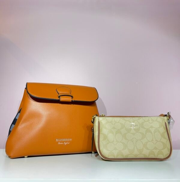 Burberry Bag + Coach Bag