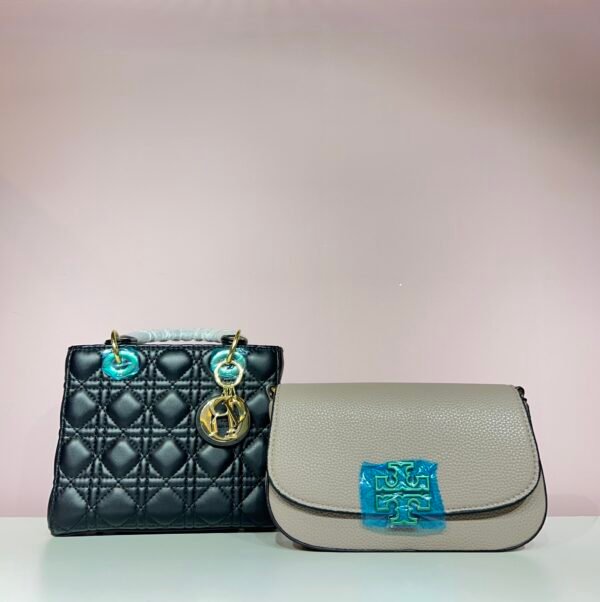 Dior Tote Bag+Tory Burch Bag