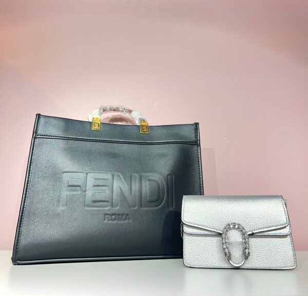 Fendi Bag + Gucci Bag