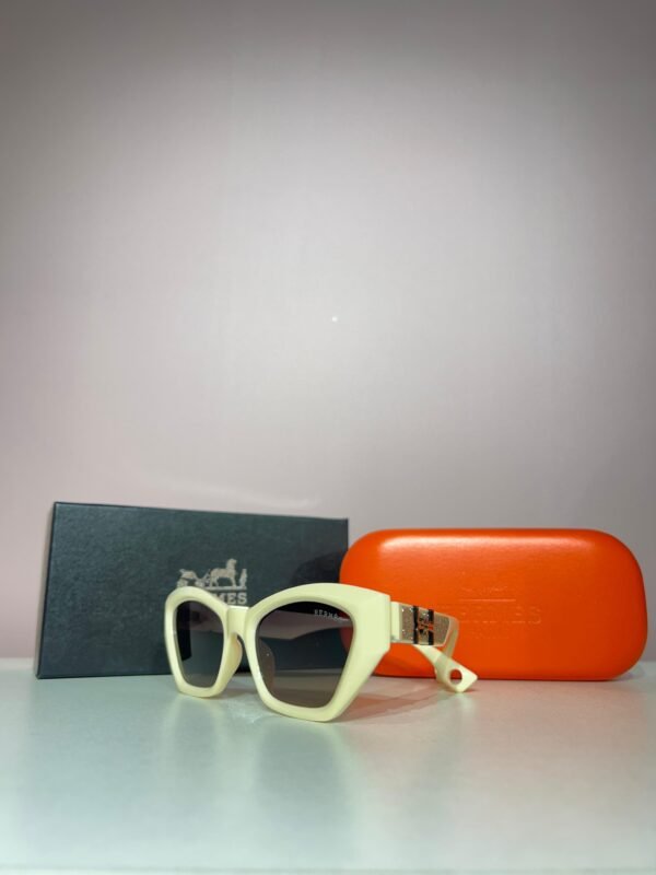 Hermès Imported Premium Goggles - Image 2