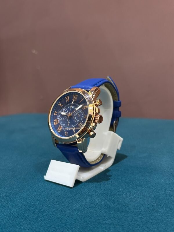 Fossil - Image 2